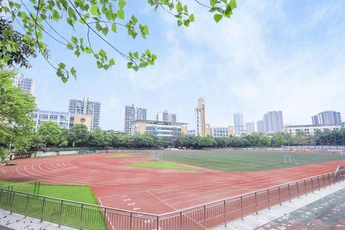 重庆礼嘉中学爆料案件最新,校园疑云揭开，真相渐明